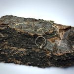 گردنی پروانه ای