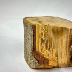 مدال پروانه ای