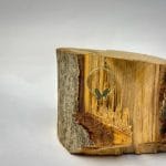 مدال پروانه ای