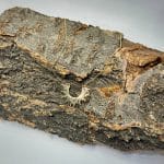 گردنبند لیزری