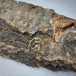 گردنبند لیزری