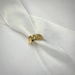 انگشتر گیوا