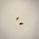 گوشواره فندقی