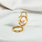 حلقه کارتیه - تصویر 2