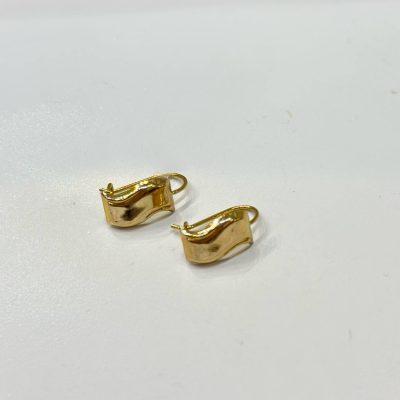 گوشواره ورنا