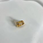 انگشتر زر - تصویر 2