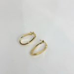 گوشواره  اکسترا - تصویر 2