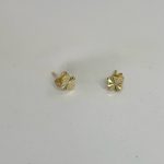 گوشواره میخی ونکلیف