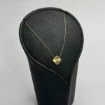 گردنی ونکلیف - تصویر 2