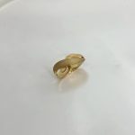 انگشتر گیوا - تصویر 2